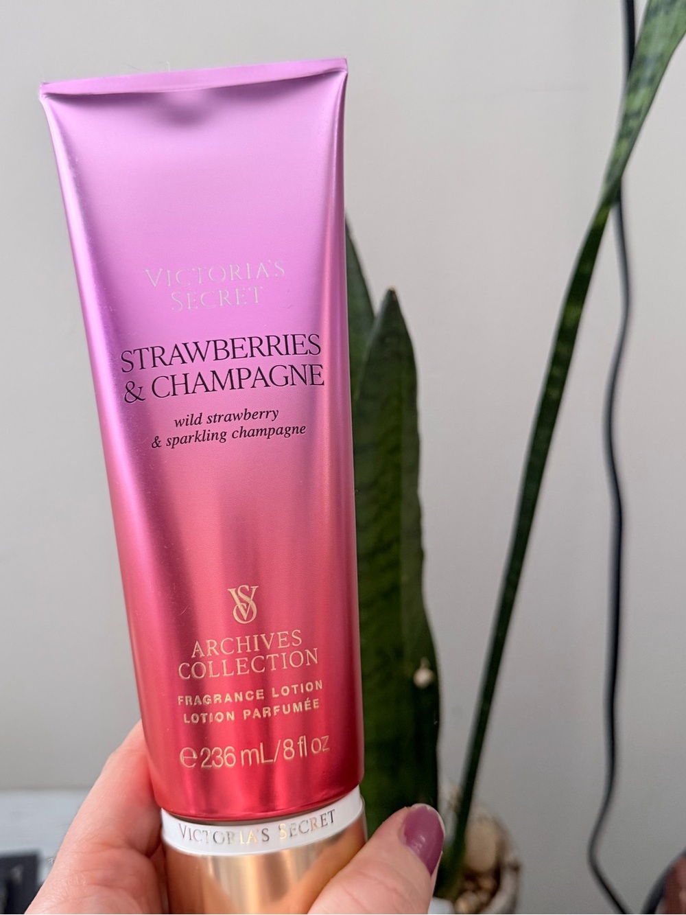 VS Strawberries & Champagne Lotion - Archives Collection